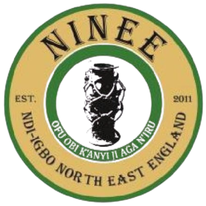NINEE Women's Wrapper
